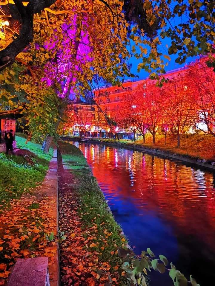 FB_IMG_1606652542688